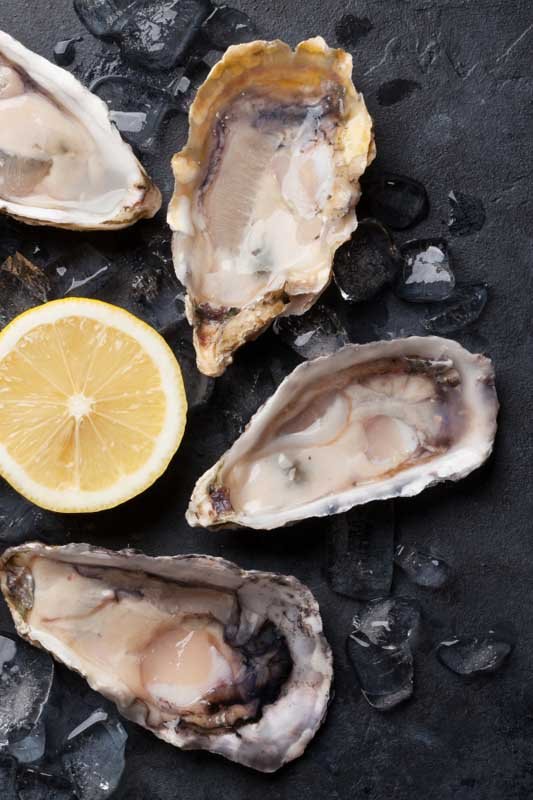 restaurant huitres andernos