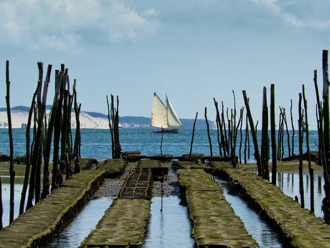 parc ostreicole bassin arcachon